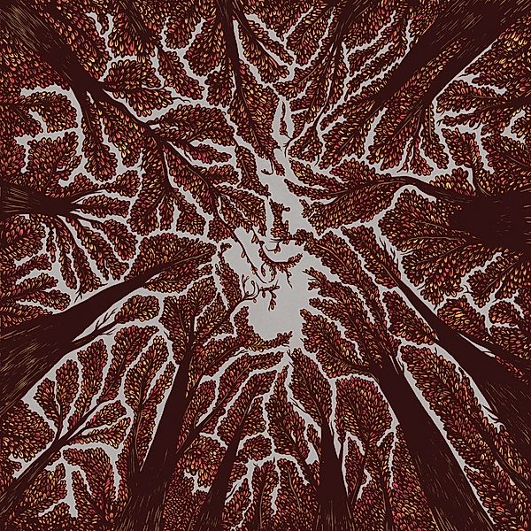 Crown Shyness, Trash Boat