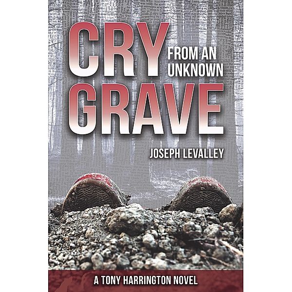 Cry from an Unknown Grave / BookPress Publishing, Joseph Levalley