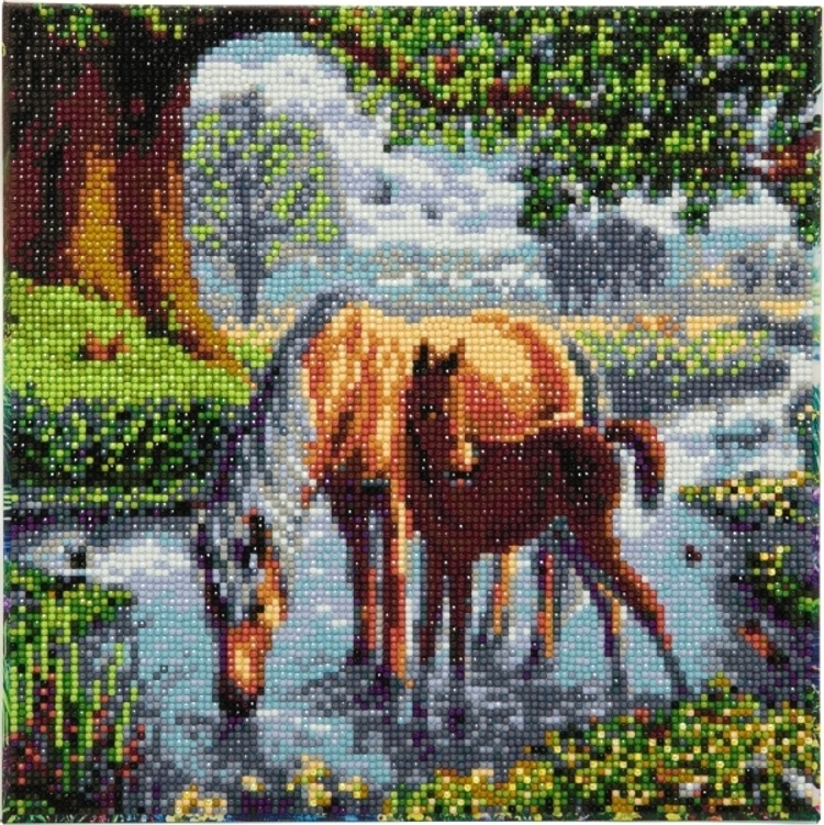 Crystal Art Leinwand Ponys 30x30 cm bestellen