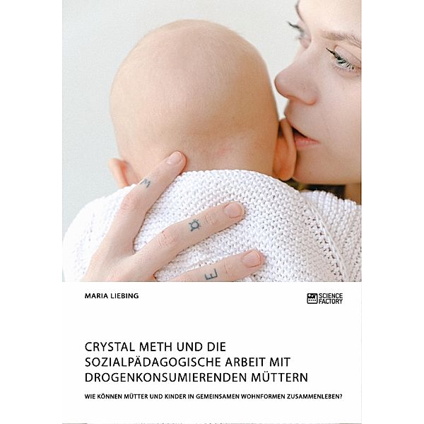 Crystal Meth und die sozialpädagogische Arbeit mit drogenkonsumierenden Müttern. Wie können Mütter und Kinder in gemeinsamen Wohnformen zusammenleben?, Maria Liebing