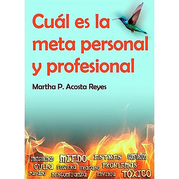 Cuál es la meta personal y profesional, Martha P. Acosta Reyes