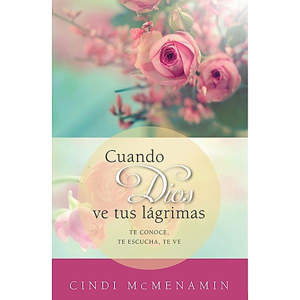 Cuando Dios ve tus lagrimas, Cindi McMenamin