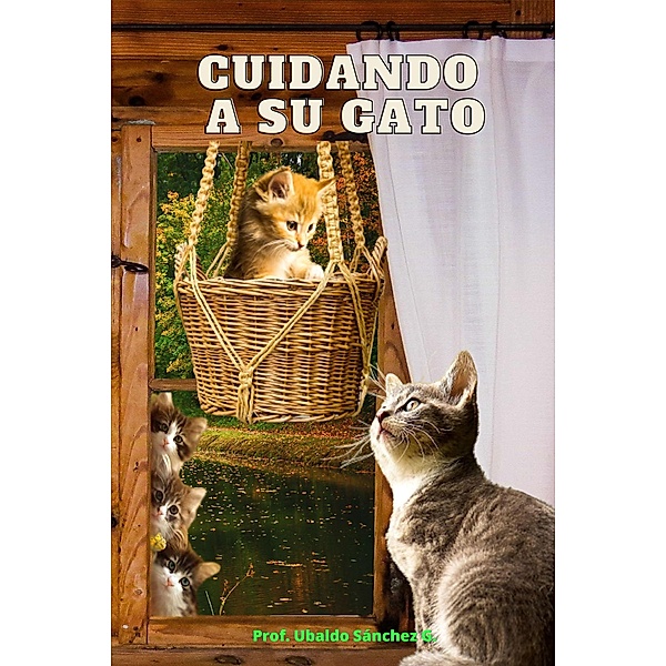 Cuidando a su gato, Ubaldo Sánchez Gutiérrez