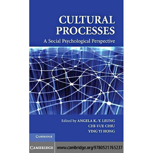 Cultural Processes
