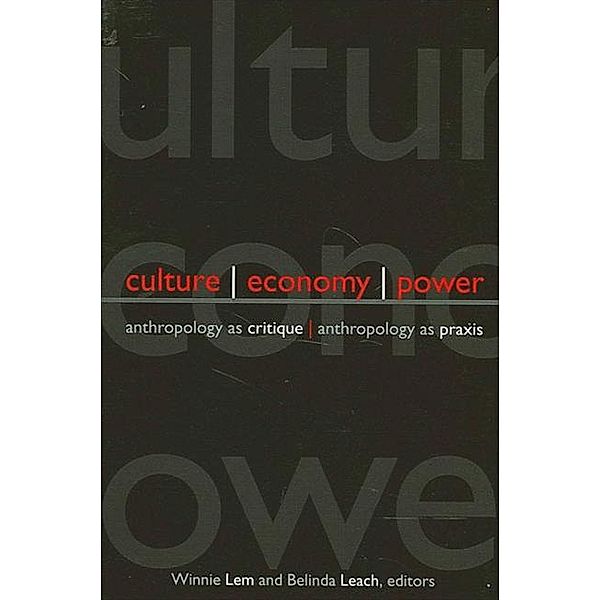 Culture, Economy, Power / SUNY series in Anthropological Studies of Contemporary Issues