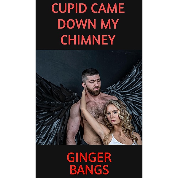 Cupid Came Down My Chimney (The Cupid Chronicles) / The Cupid Chronicles, Ginger Bangs