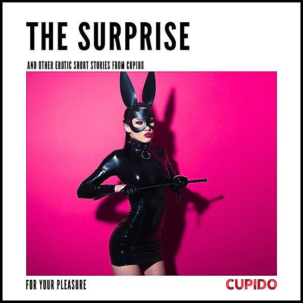 Cupido - Compilations - 2 - The Surprise - and other erotic short stories from Cupido, Cupido