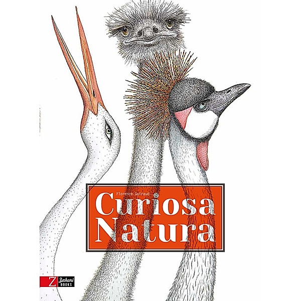 Curiosa natura, Florence Guiraud