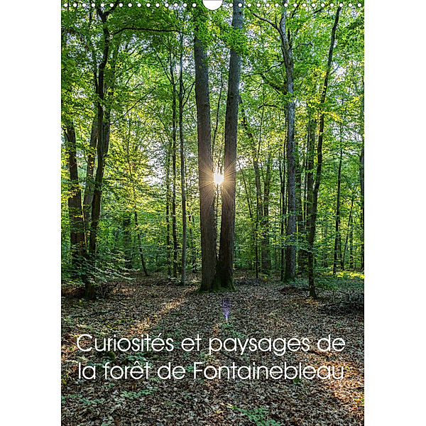 Curiosités et paysages de la forêt de Fontainebleau (Calendrier mural 2023 DIN A3 vertical), Djamal Makhloufi