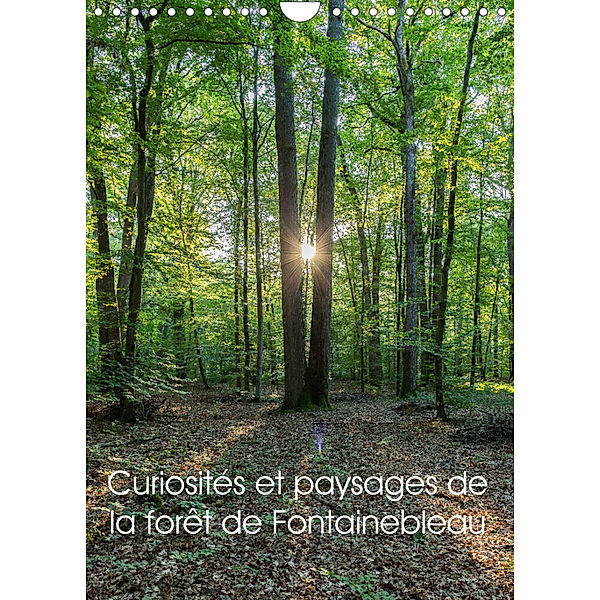 Curiosités et paysages de la forêt de Fontainebleau (Calendrier mural 2023 DIN A4 vertical), Djamal Makhloufi