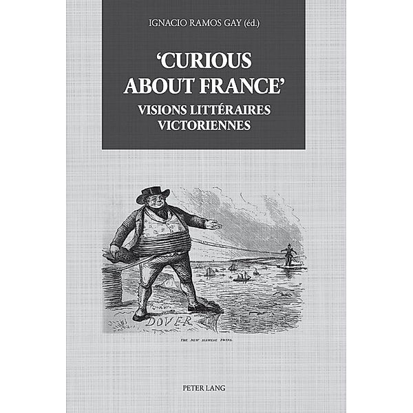 'Curious about France' : Visions litteraires victoriennes