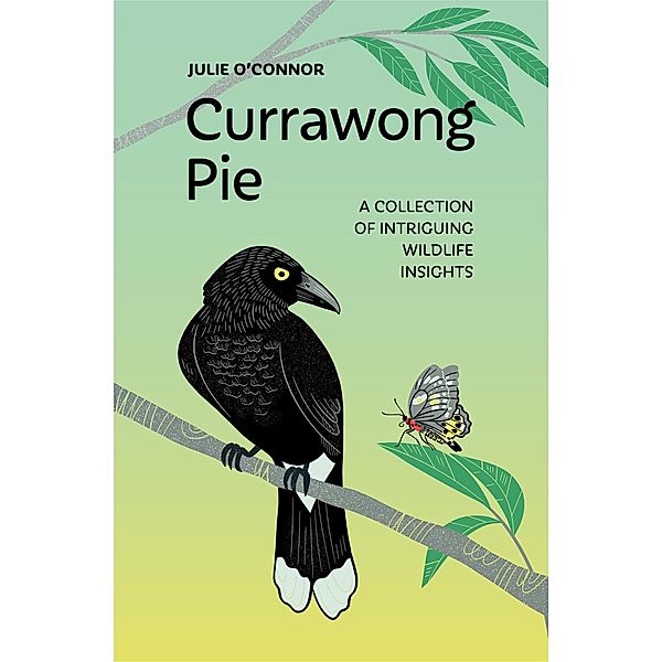 Currawong Pie: A collection of intriguing wildlife insights, Julie O'Connor