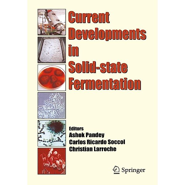 Current Developments in Solid-state Fermentation