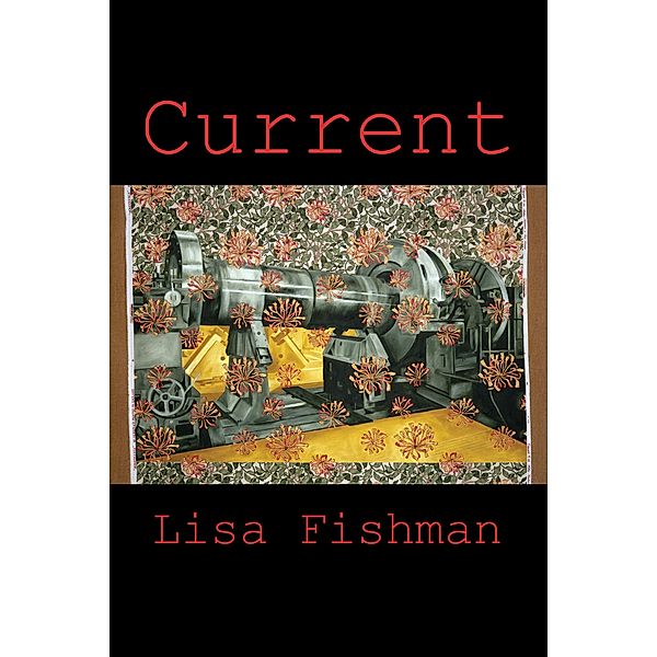 Current / Free Verse Editions, Lisa Fishman