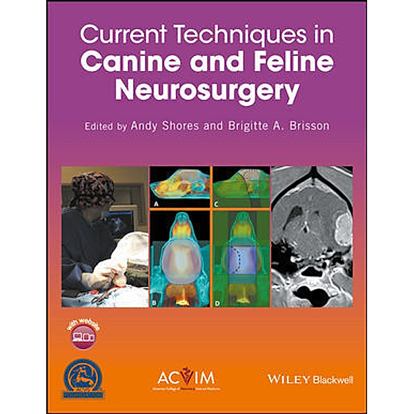 Current Techniques in Canine and Feline Neurosurgery