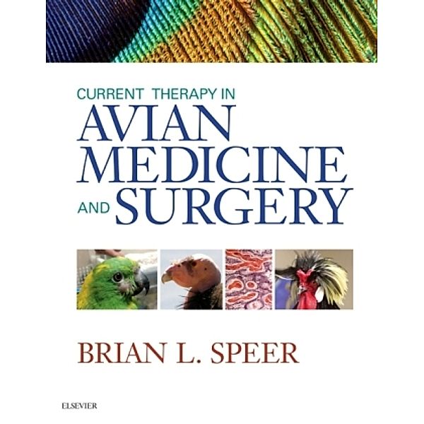 Current Therapy in Avian Medicine and Surgery, Brian Speer