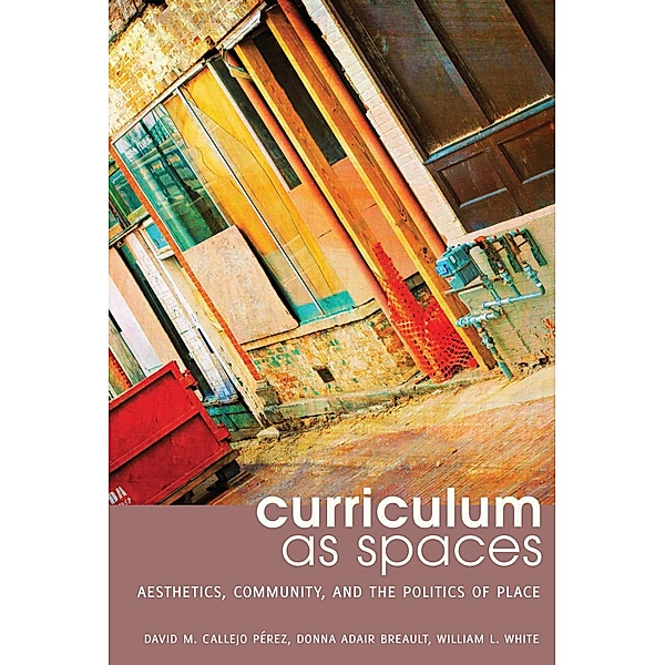 Curriculum as Spaces / Complicated Conversation Bd.45, David M. Callejo Pérez, Donna Adair Breault, William White