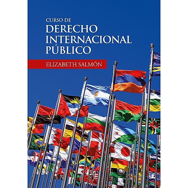 Curso de derecho internacional público, Elizabeth Salmón