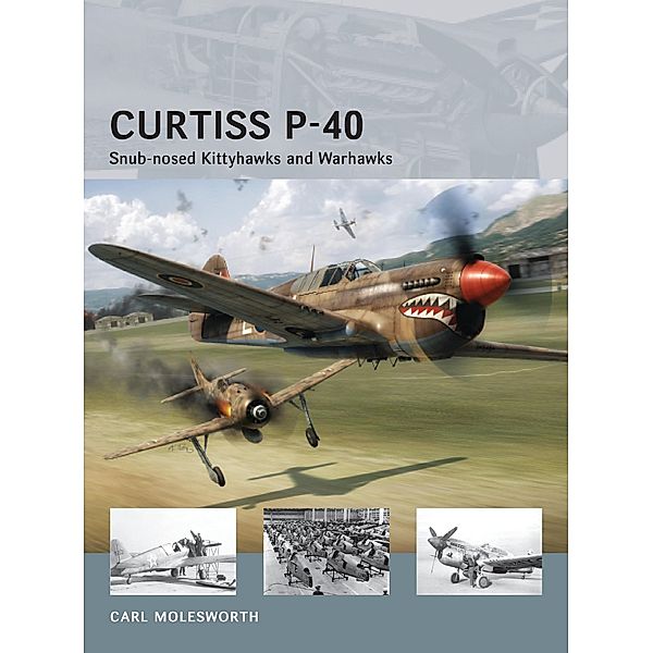 Curtiss P-40, Carl Molesworth