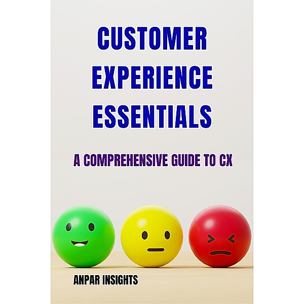 Customer Experience Essentials: A Comprehensive Guide To CX, Anpar Insights