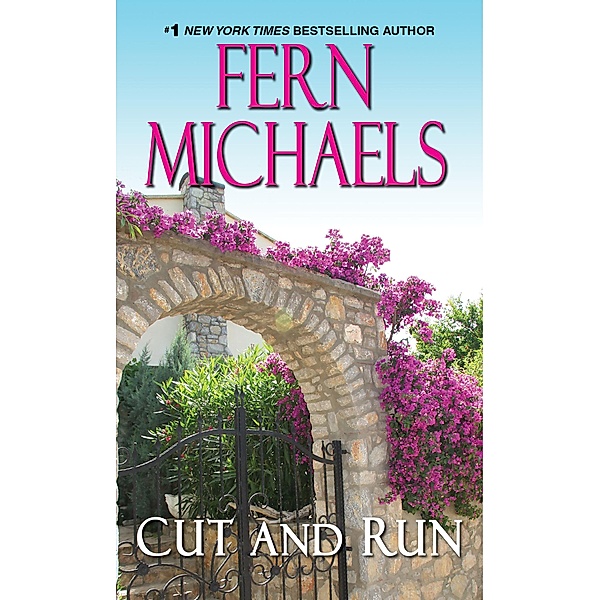 Cut and Run / Sisterhood Bd.30, Fern Michaels
