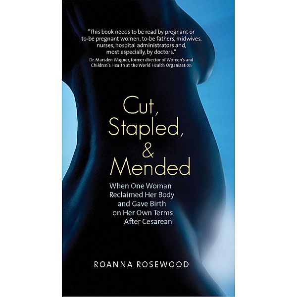 Cut, Stapled, and Mended / Confluence Books, Roanna Rosewood
