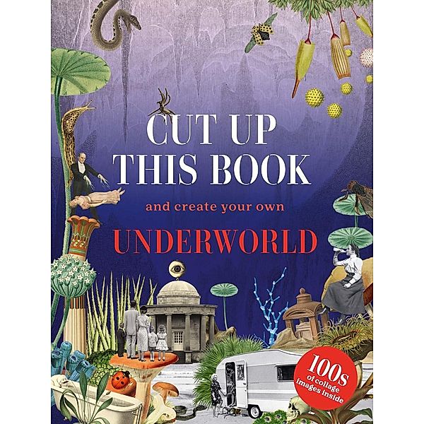 Cut Up This Book and Create Your Own Underworld, Eliza Scott