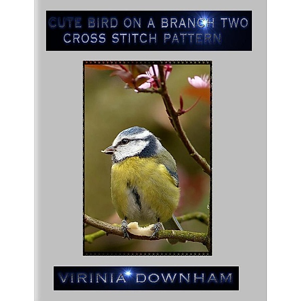 Cute Bird On a Branch Two Cross Stitch Pattern, Virinia Downham