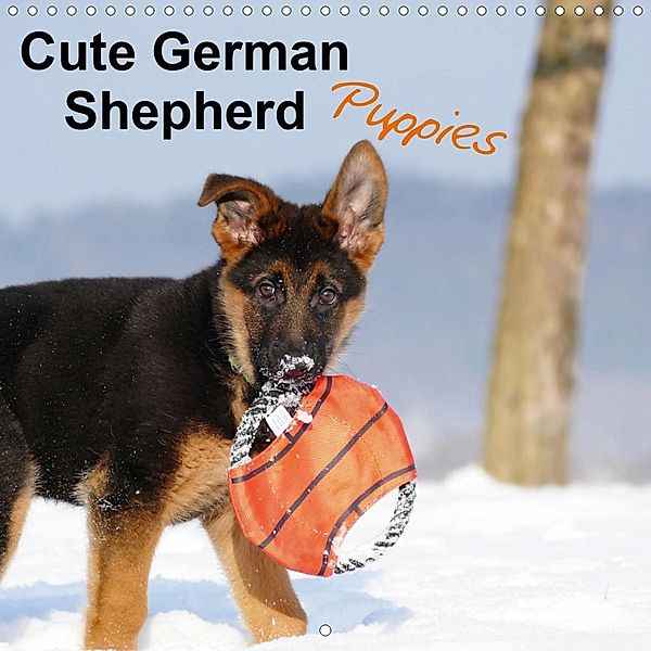 Cute German Shepherd Puppies (Wall Calendar 2021 300 × 300 mm Square), Petra Schiller