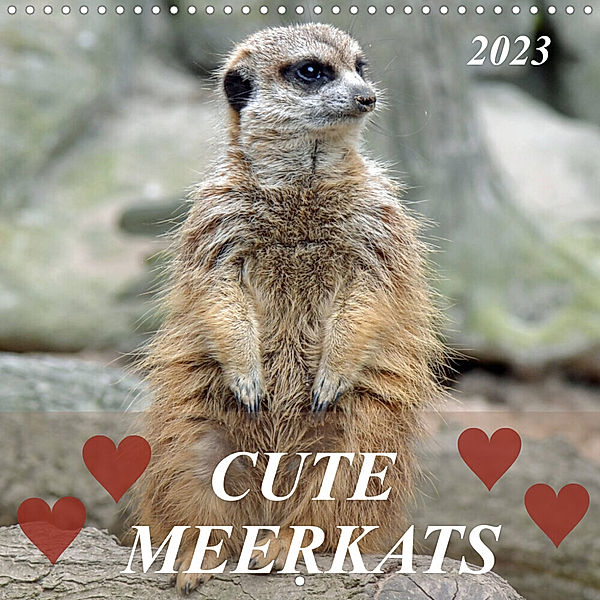 Cute meerkats (Wall Calendar 2023 300 × 300 mm Square), Claudia Kleemann