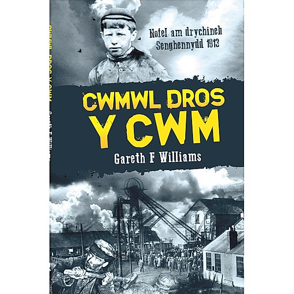 Cwmwl dros y Cwm, Gareth F Williams