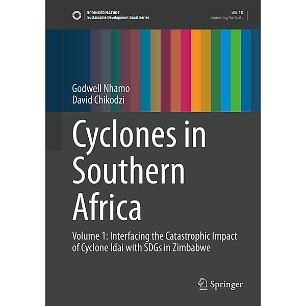 Cyclones in Southern Africa, Godwell Nhamo, David Chikodzi