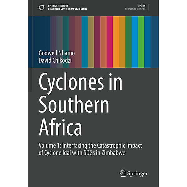 Cyclones in Southern Africa, Godwell Nhamo, David Chikodzi