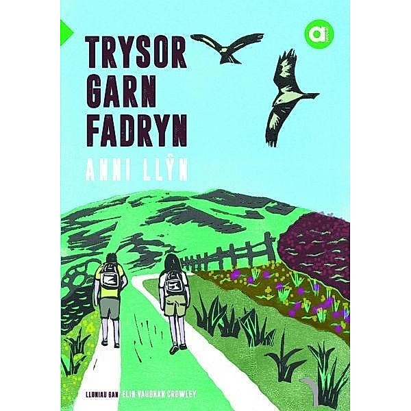 Cyfres Amdani: Trysor Garn Fadryn, Llyn Anni Llyn