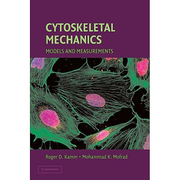 Cytoskeletal Mechanics: Models and Measurements