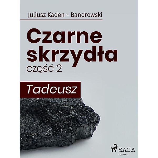 Czarne skrzydla 2 - Tadeusz, Juliusz Kaden Bandrowski