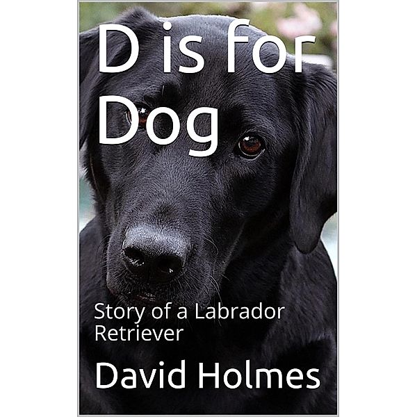 D is for Dog (The Dog Finders, #1) / The Dog Finders, David Holmes