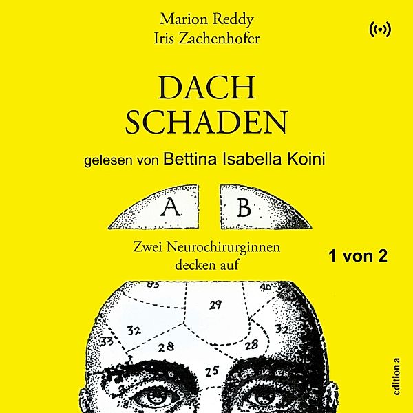 Dachschaden, Iris Zachenhofer, Marion Reddy