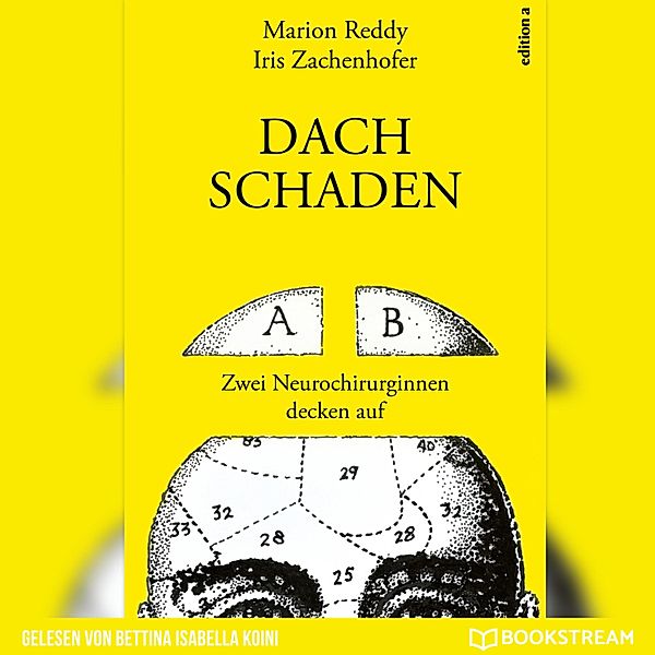 Dachschaden, Iris Zachenhofer, Marion Reddy