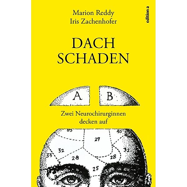 Dachschaden, Marion Reddy, Iris Zachenhofer