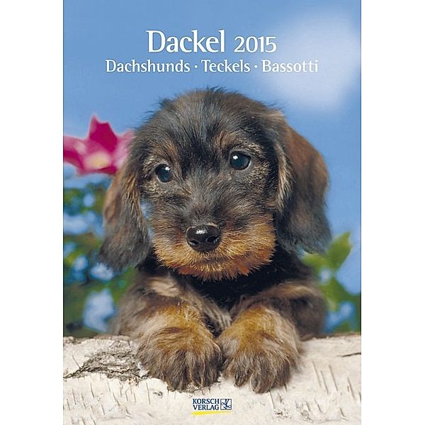 Dackel 2015