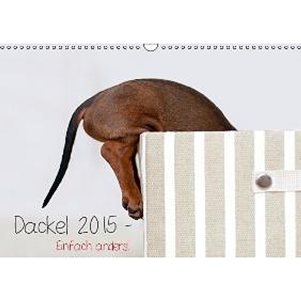 Dackel 2015 - Einfach anders! (Wandkalender 2015 DIN A3 quer), Petra Spoerle-Strohmenger