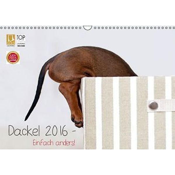 Dackel 2016 - Einfach anders! (Wandkalender 2016 DIN A3 quer), Petra Spoerle-Strohmenger