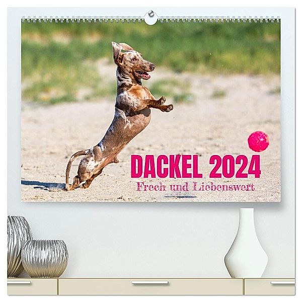 DACKEL 2024 Frech und Liebenwert (hochwertiger Premium Wandkalender 2024 DIN A2 quer), Kunstdruck in Hochglanz, Annett Mirsberger tierpfoto