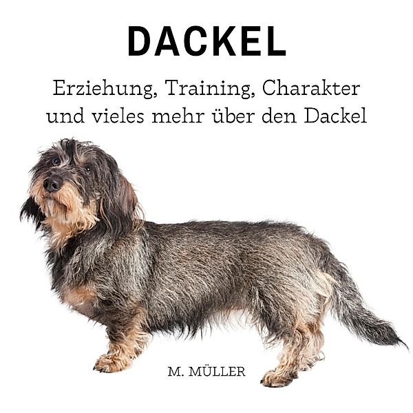 Dackel, M. Müller