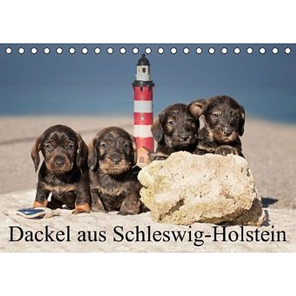 Dackel aus Schleswig-Holstein (Tischkalender 2015 DIN A5 quer), Monika Leirich