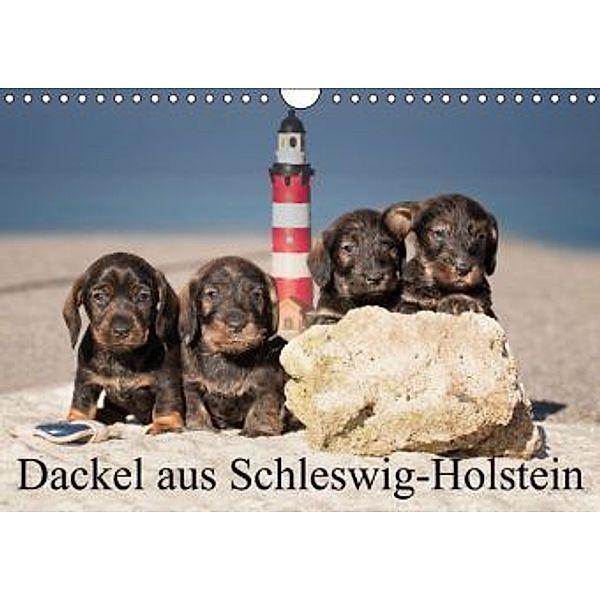 Dackel aus Schleswig-Holstein (Wandkalender 2015 DIN A4 quer), Monika Leirich