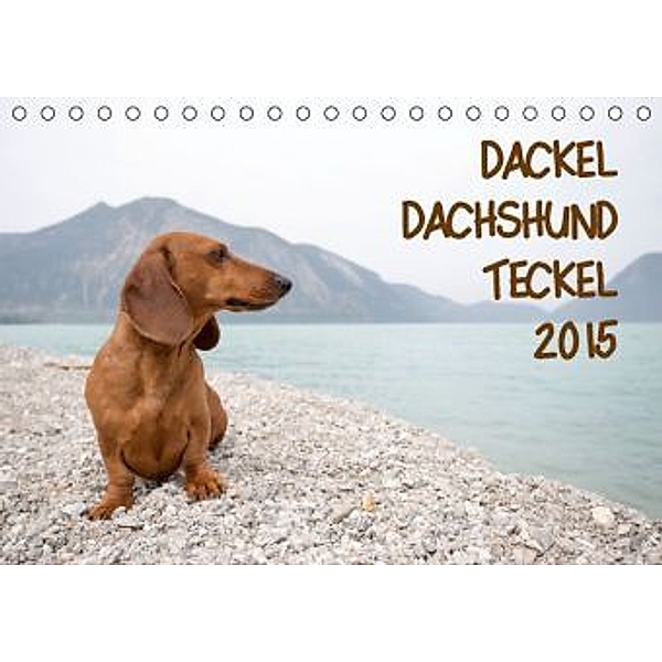 DACKEL DACHSHUND TECKEL 2015 (Tischkalender 2015 DIN A5 quer), Annett Mirsberger