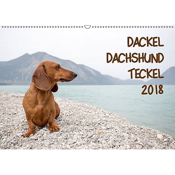 DACKEL DACHSHUND TECKEL 2018 (Wandkalender 2018 DIN A2 quer), Annett Mirsberger