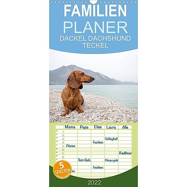 DACKEL DACHSHUND TECKEL 2022 - Familienplaner hoch (Wandkalender 2022 , 21 cm x 45 cm, hoch), Annett Mirsberger tierpfoto